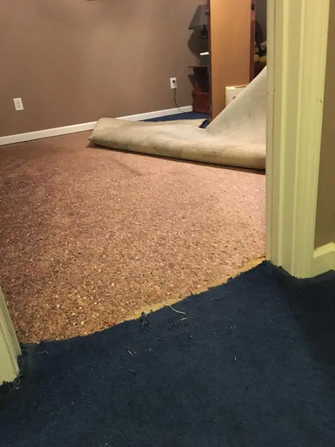 Carpet pad removal revealing water damage during Drying & Dehumidification in Ste. Genevieve