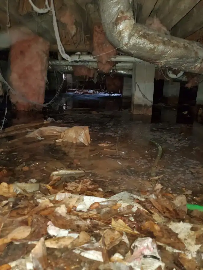 Crawl space flood assessment for Commercial Water Damage Restoration in Ste. Genevieve