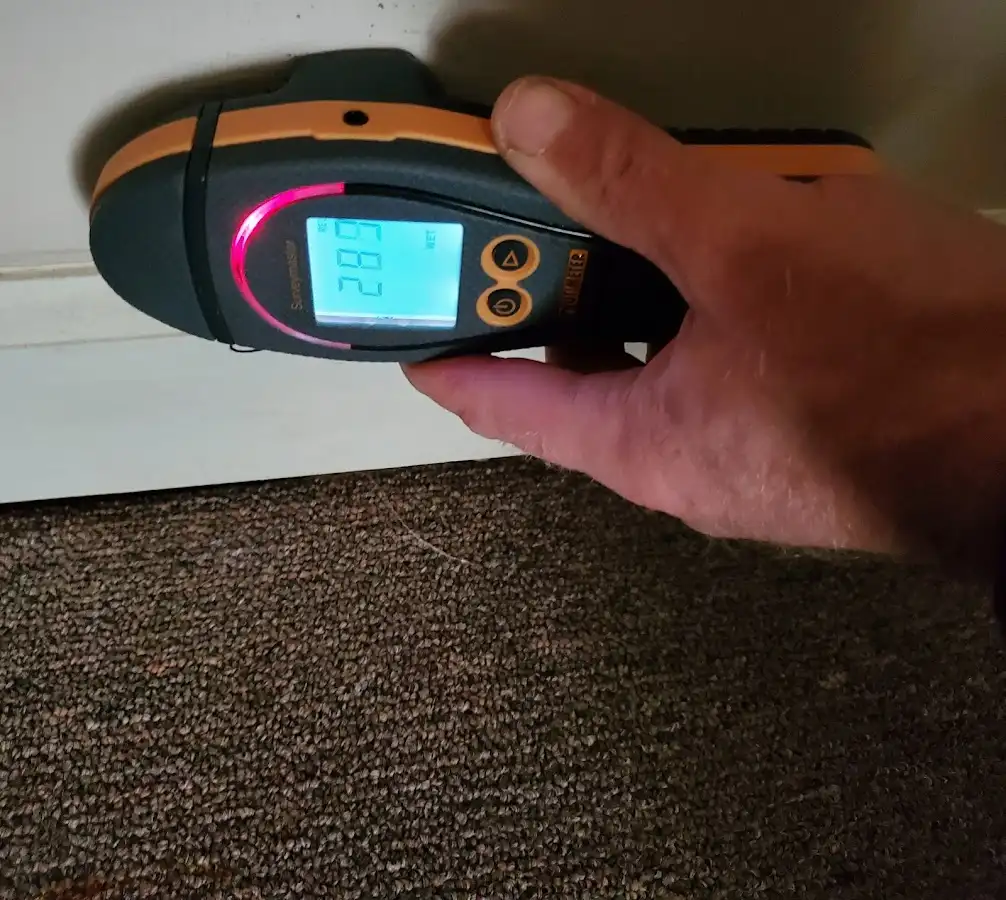 Moisture detection at baseboard during Sewage Cleanup & Sanitation in Ste. Genevieve